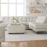 Natuzzi-Furniture-Knoxville-TN1